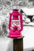 Lampa naftowa Feuerhand Hurricane Baby Special 276 - Magenta Pink